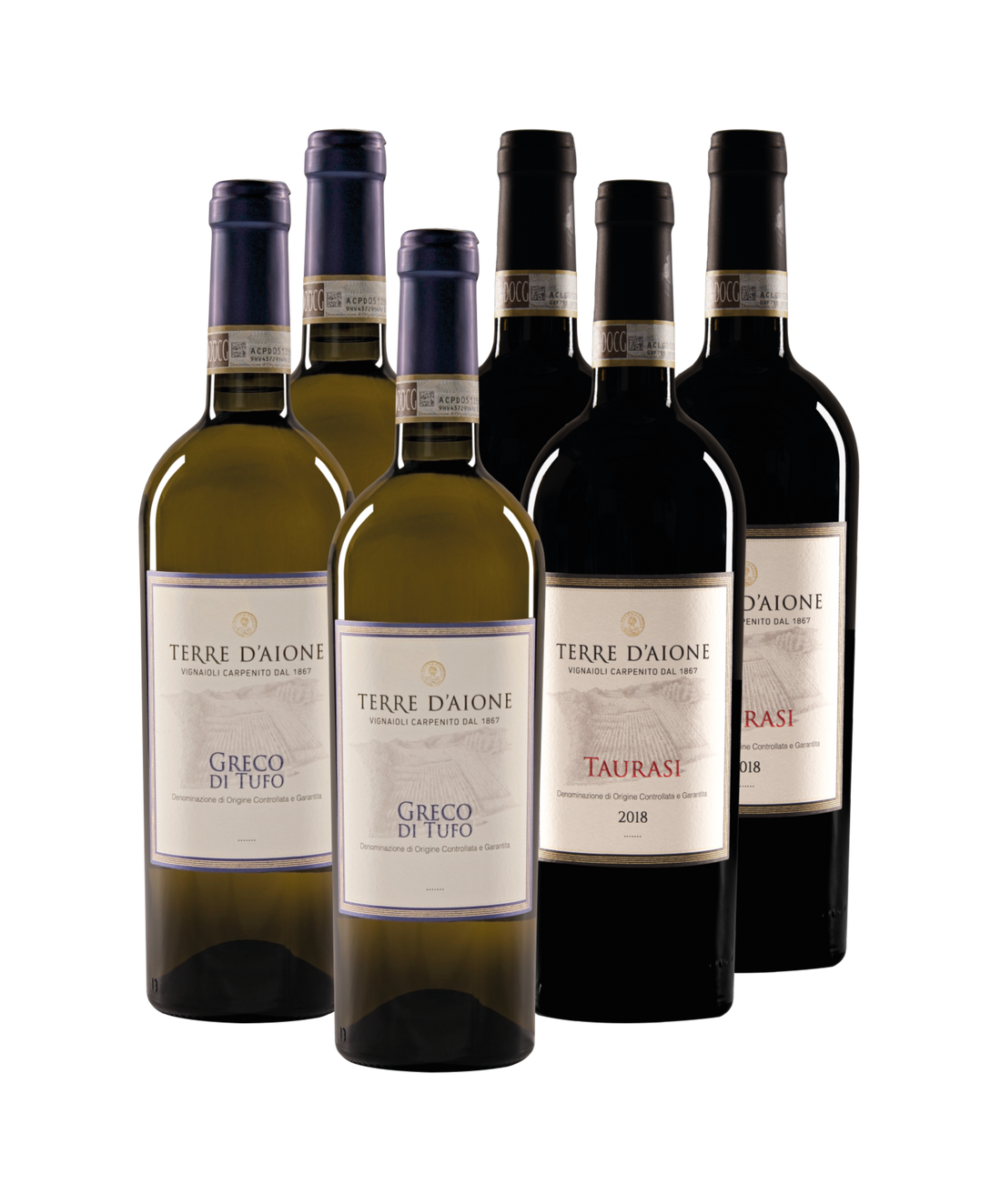 6 IRPINIA DOCG WINES
